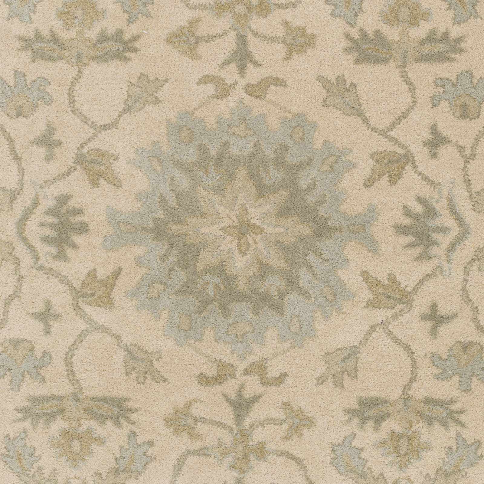 Sample Hazen Hand Tufted Light Beige 1197 Area Rug